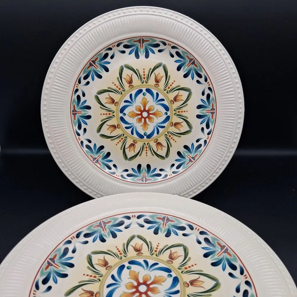 Pier 1 Imports Athena Ironstone Dinner Plates 11